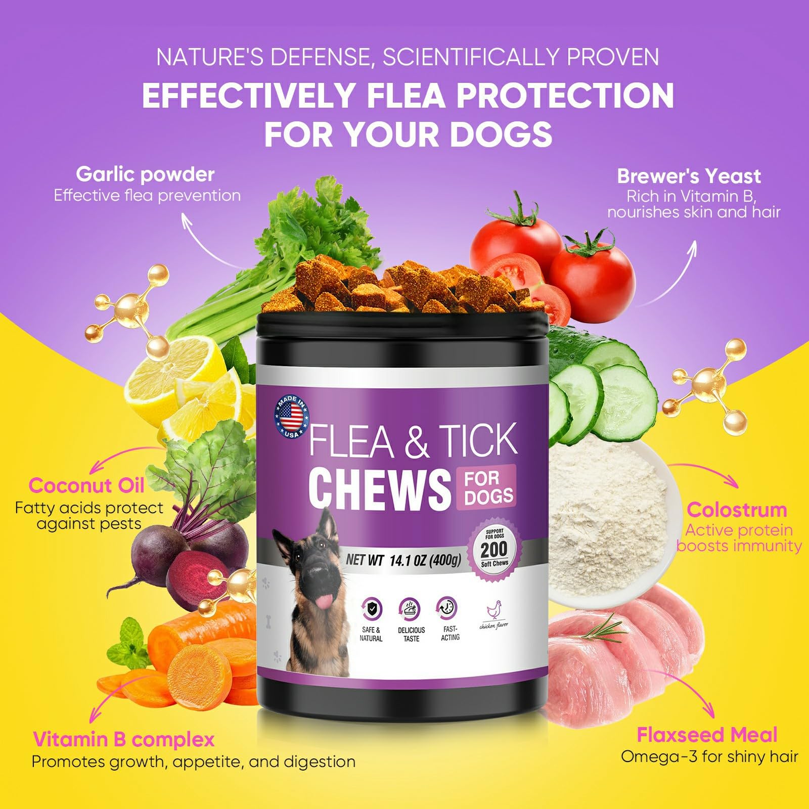 TTLXBL daily-use dog chews support simple, regular care in a busy home.