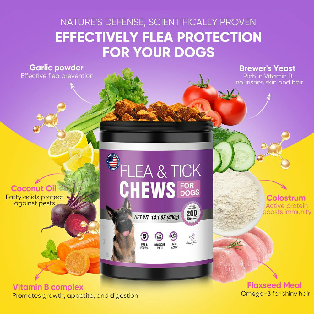 TTLXBL daily-use dog chews support simple, regular care in a busy home.