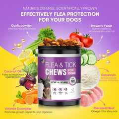 TTLXBL daily-use dog chews support simple, regular care in a busy home.