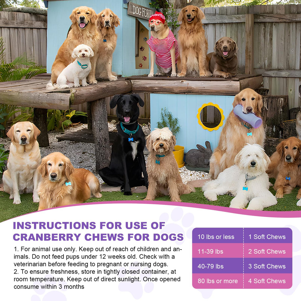 TTLXBL dog urinary health illustration emphasizing kidney support benefits