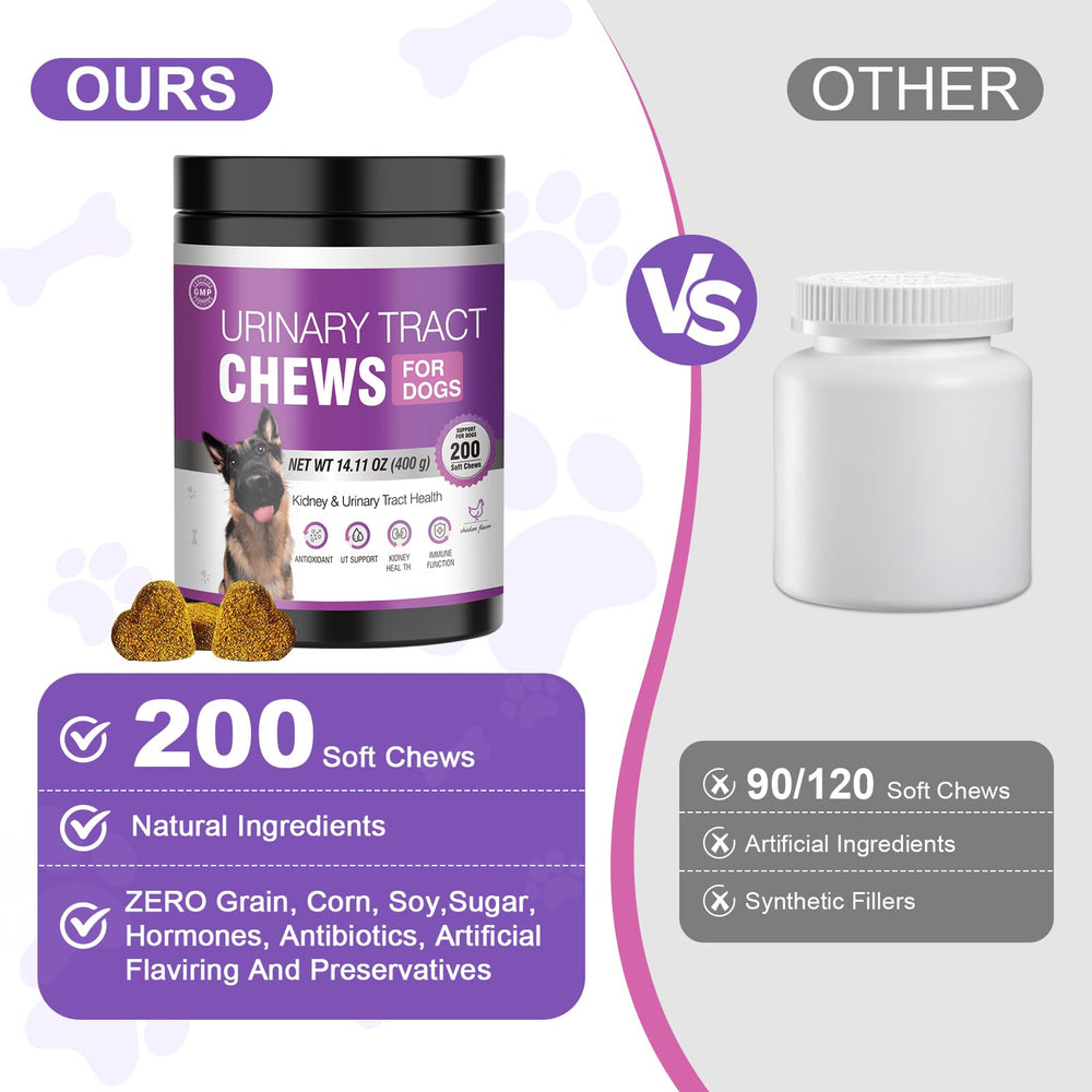 TTLXBL dog UTI natural ingredients scene with cranberry and D-Mannose