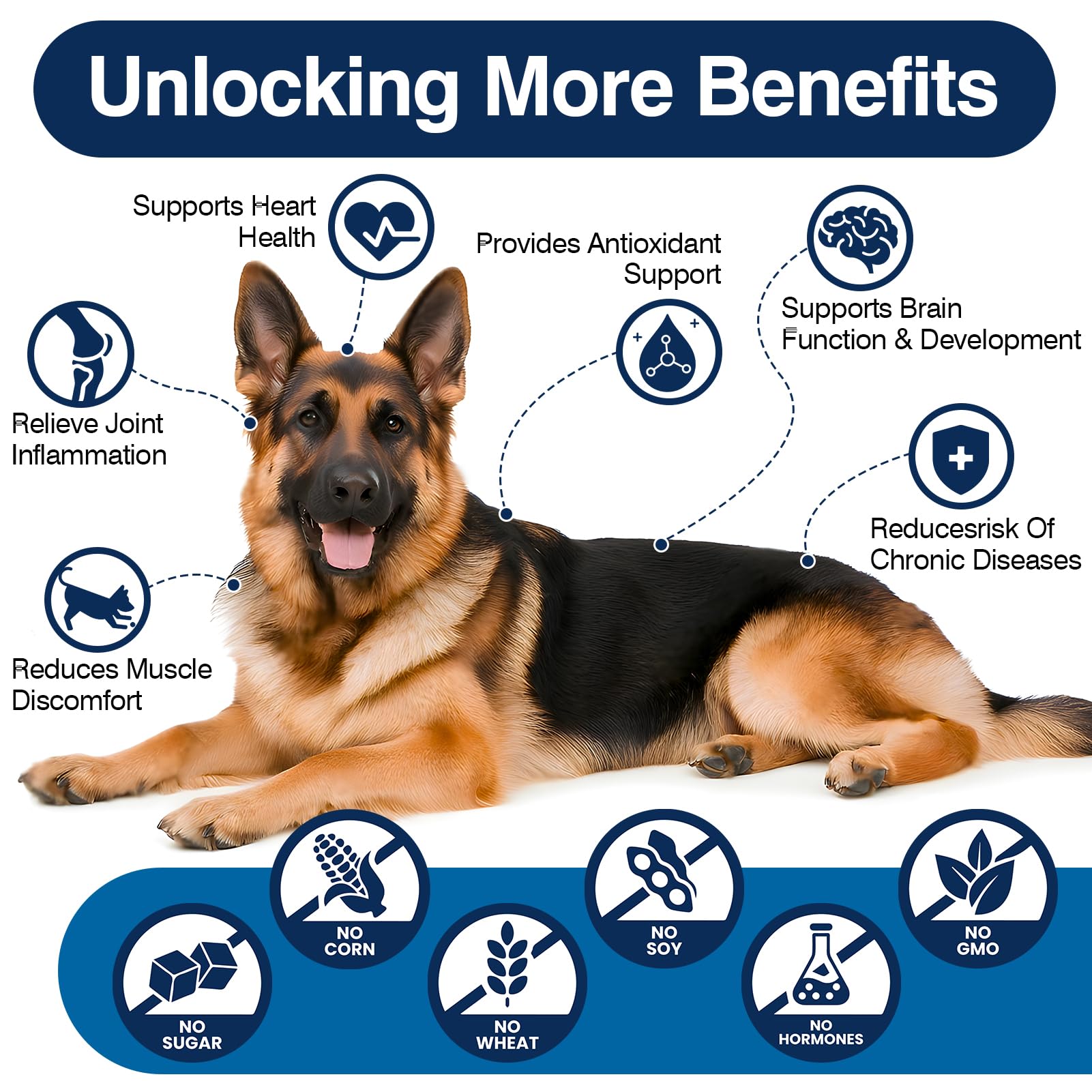 Dog happily chewing TTLXBL omega-3 treat during daily routine