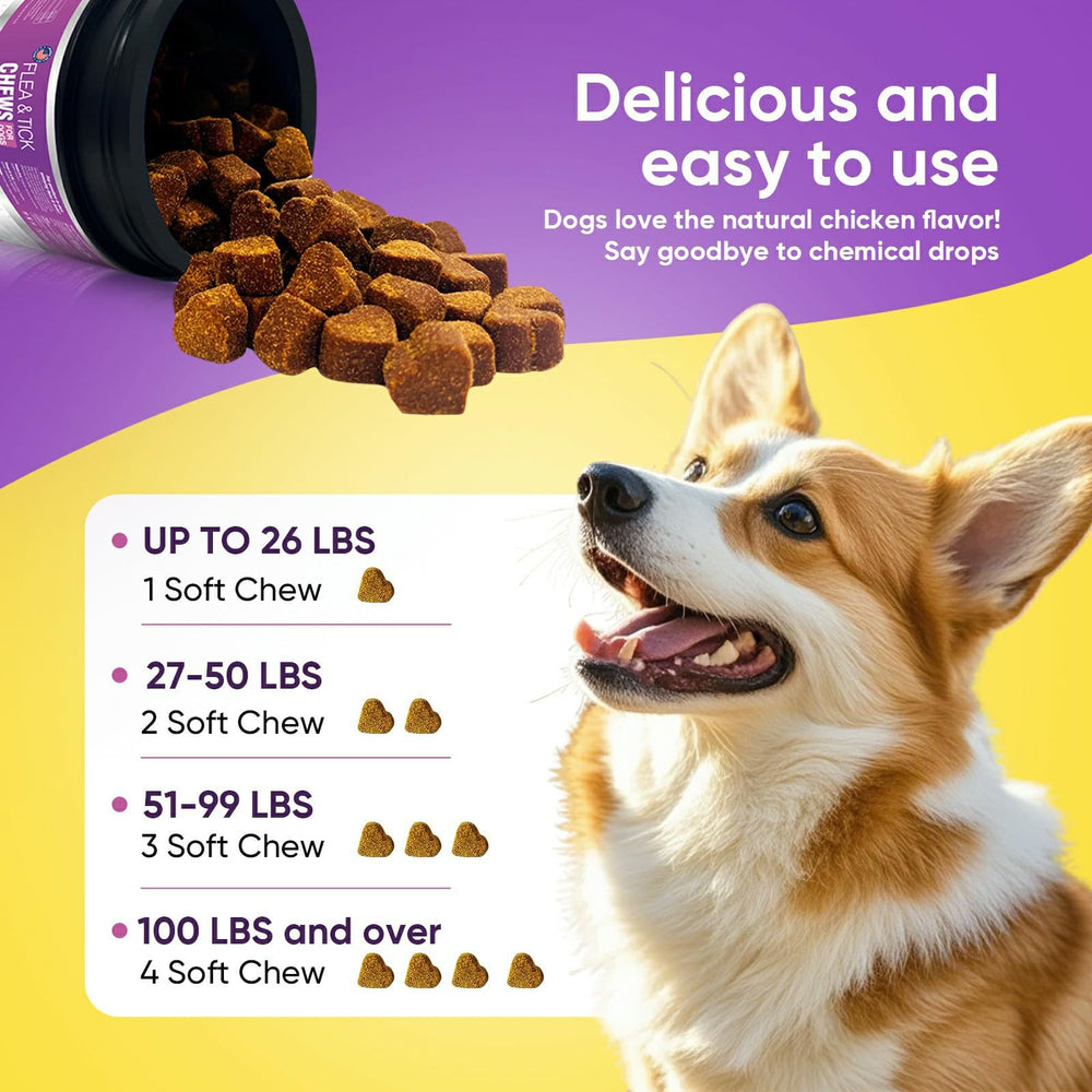 TTLXBL pest-control dog chews convey value with a 200-count bottle.