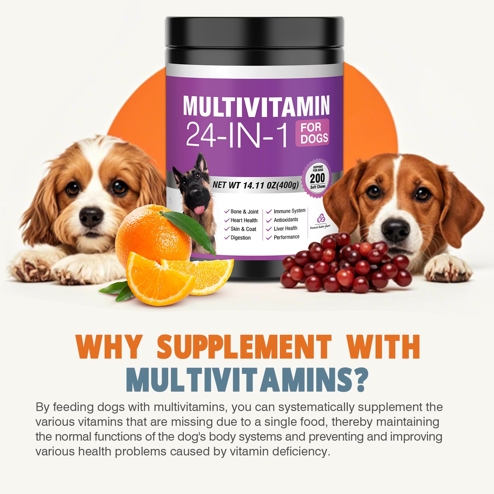 TTLXBL probiotic blend promoting healthy digestion in dogs.