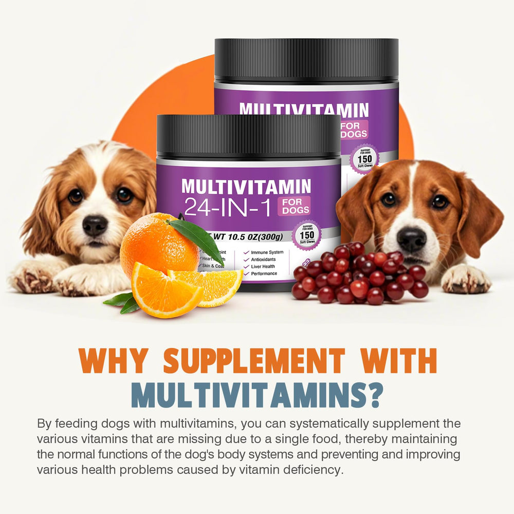 TTLXBL probiotics support gut balance and digestion in dogs
