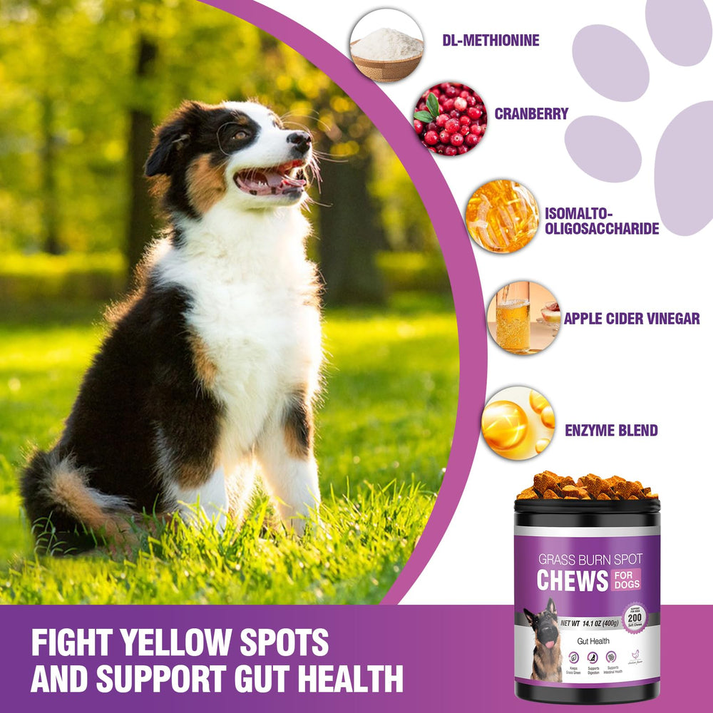 TTLXRL bladder-support dog soft chews promote urinary comfort and pH balance.