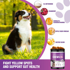 TTLXRL bladder-support dog soft chews promote urinary comfort and pH balance.