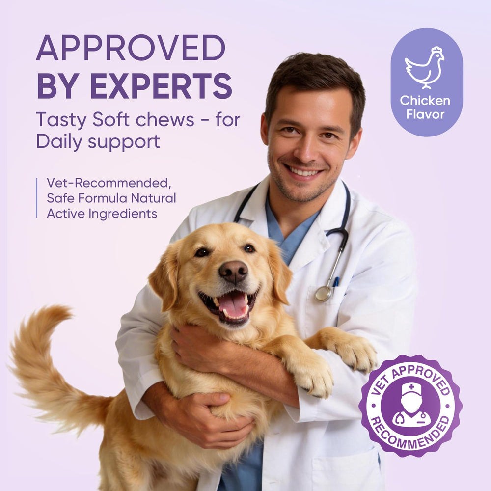 TTLXRL Calming Chews chicken flavor appeals to dogs during calming sessions.