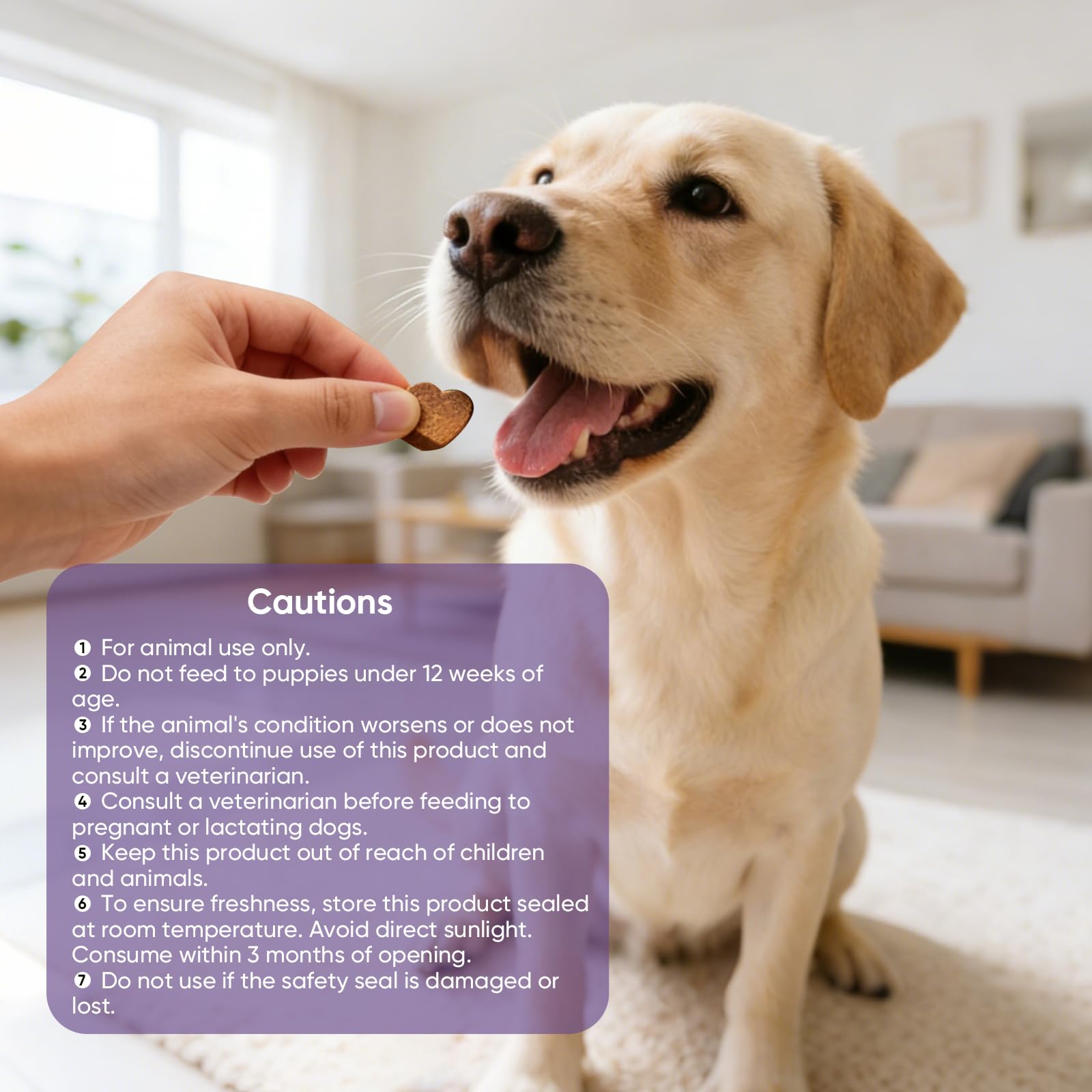 TTLXRL Calming Chews dog-during travel scenario shows vet visit calm potential