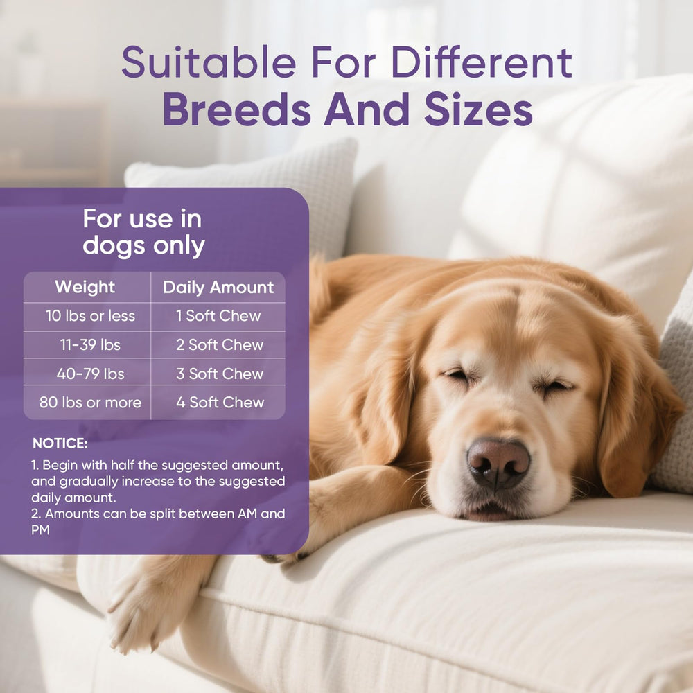 TTLXRL Calming Chews dog-in-hand demonstrates convenient, tasty calming option