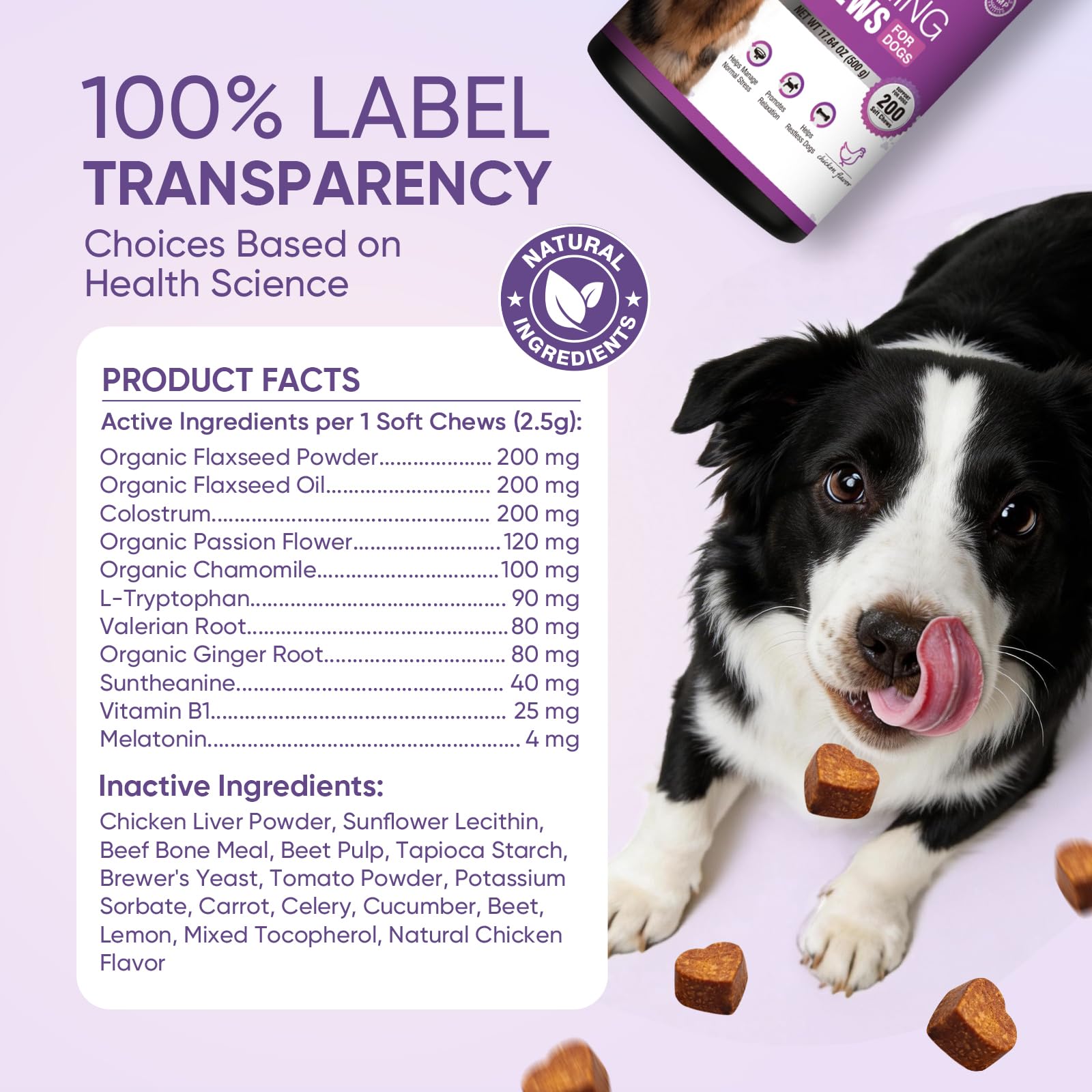 TTLXRL Calming Chews dog-on-floor set up for stress-prone moments