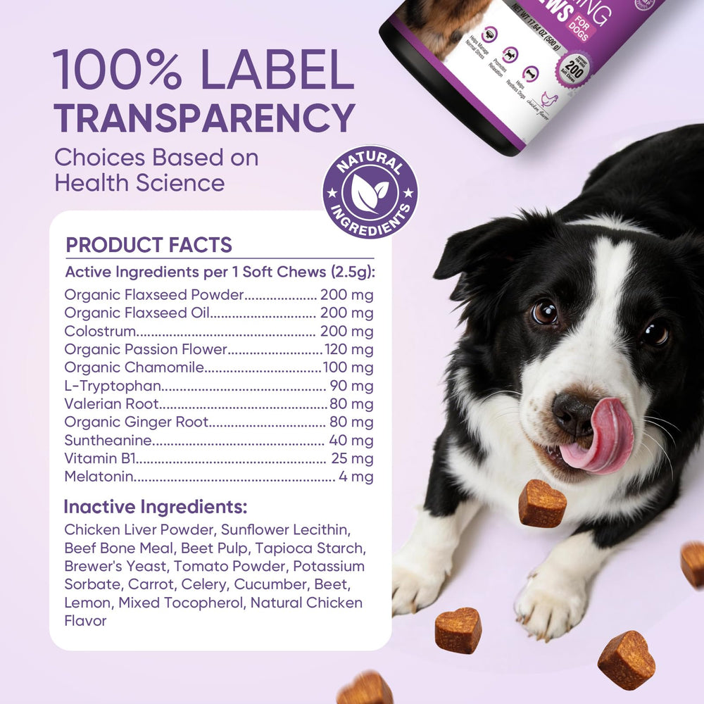 TTLXRL Calming Chews dog-on-floor set up for stress-prone moments