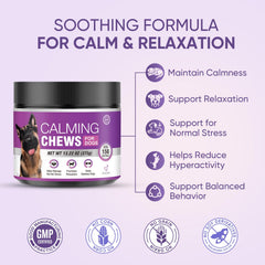 TTLXRL Calming Chews packaging highlights natural ingredients for gentle dog anxiety relief.