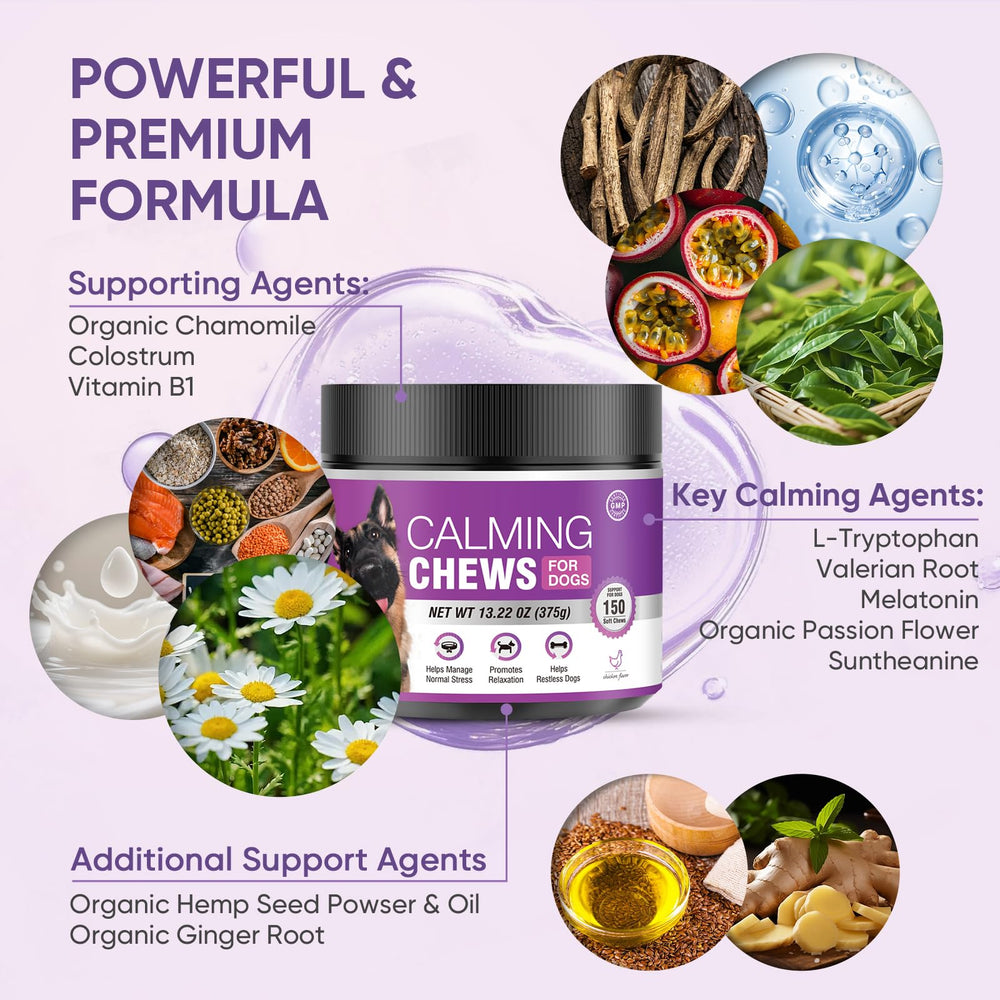 TTLXRL Calming Chews dog sleep closeup suggests easier bedtime routines.