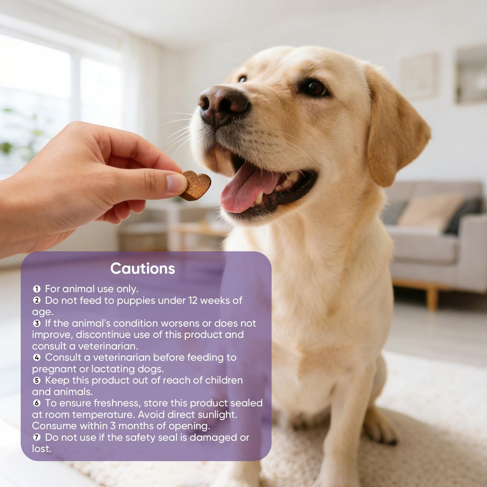 TTLXRL Calming Chews puppy use image conveys safe, grain-free calming support.