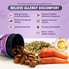 TTLXRL Dog Allergy Chews jar shown for ongoing immune and skin support.