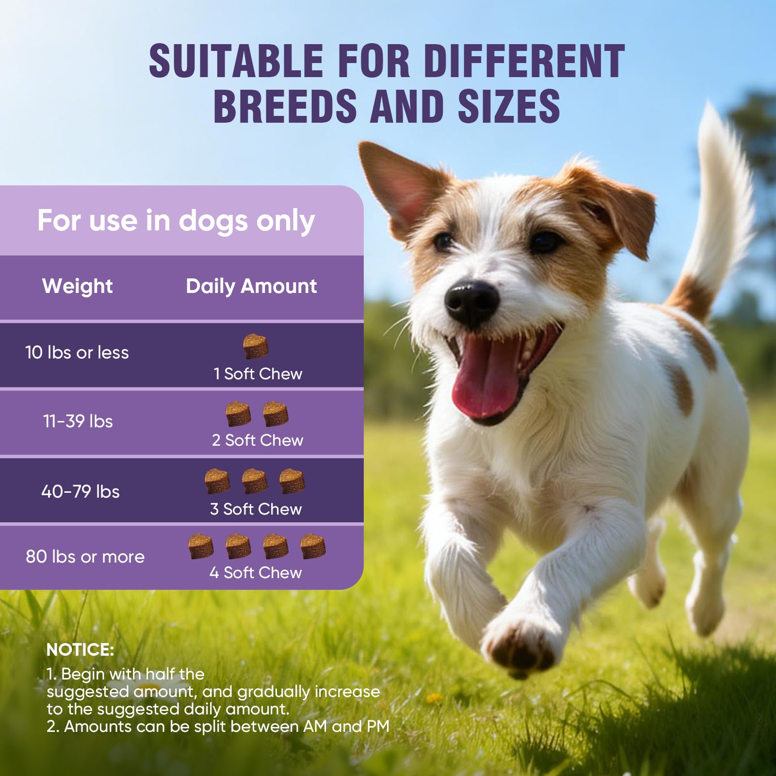 TTLXRL Dog Allergy Chews seasonal-relief concept with outdoor scene.