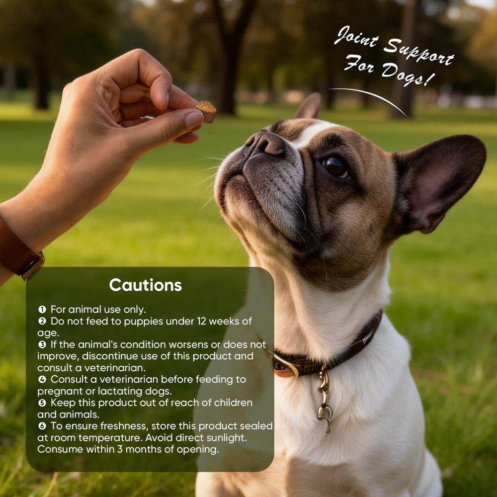 TTLXRL dog joint supplement carton on shelf signals multi-age suitability.