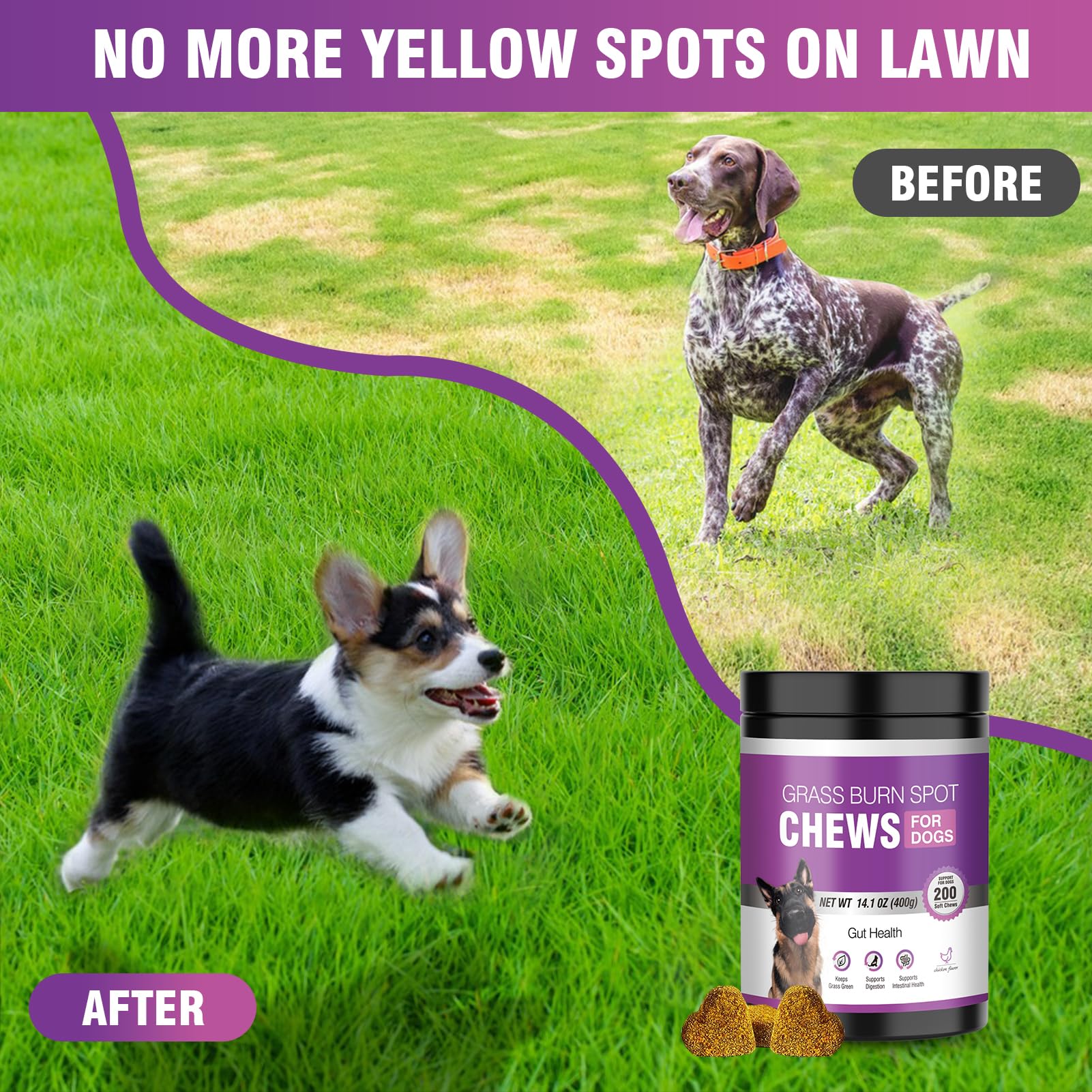 TTLXRL dog-urine-lawn-saver soft chews demonstrate lawn burn reduction and digestion support.