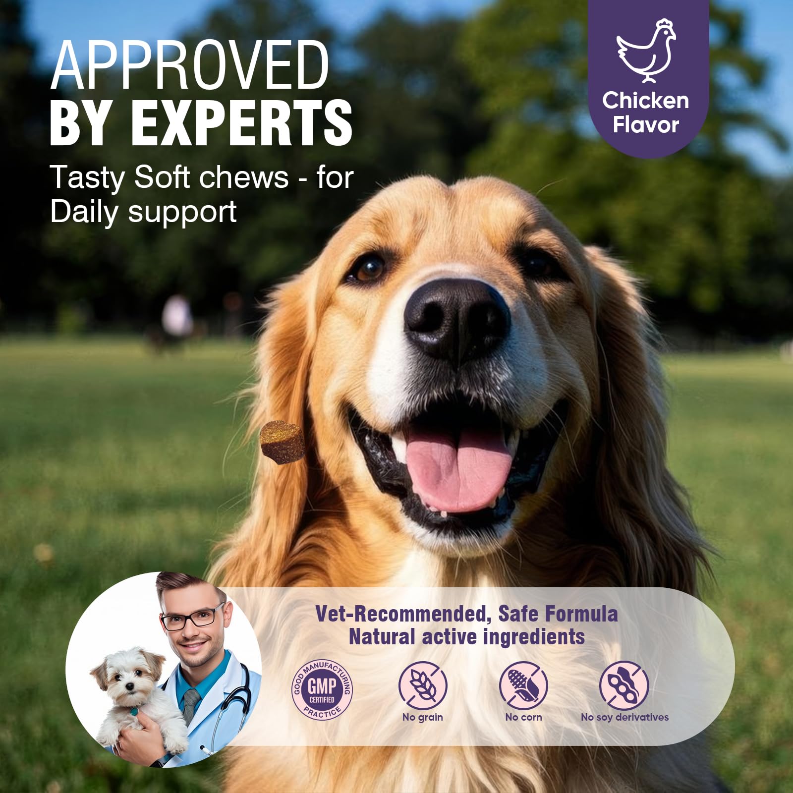 TTLXRL five-strain probiotic blend aids gut balance in dogs.