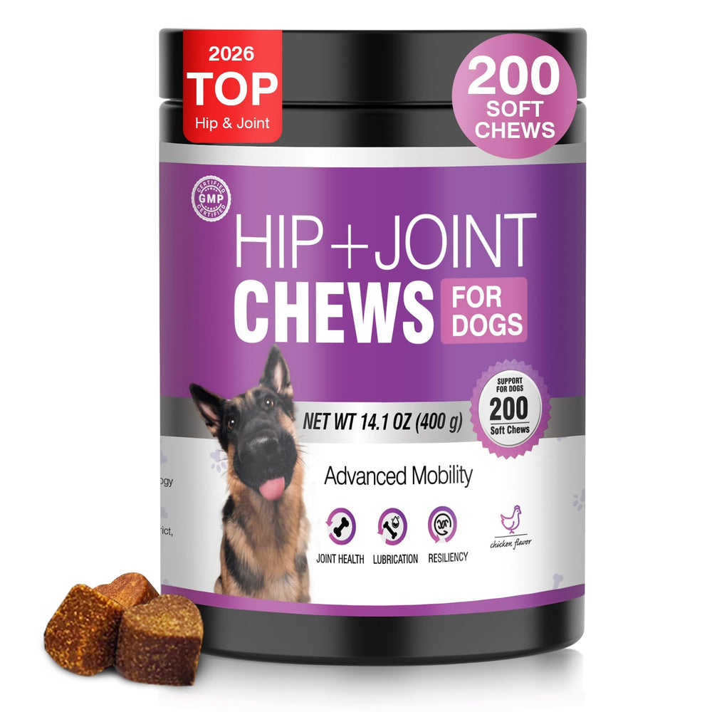 TTLXRL Glucosamine for Dogs bottle shows easy daily dosing for joint support