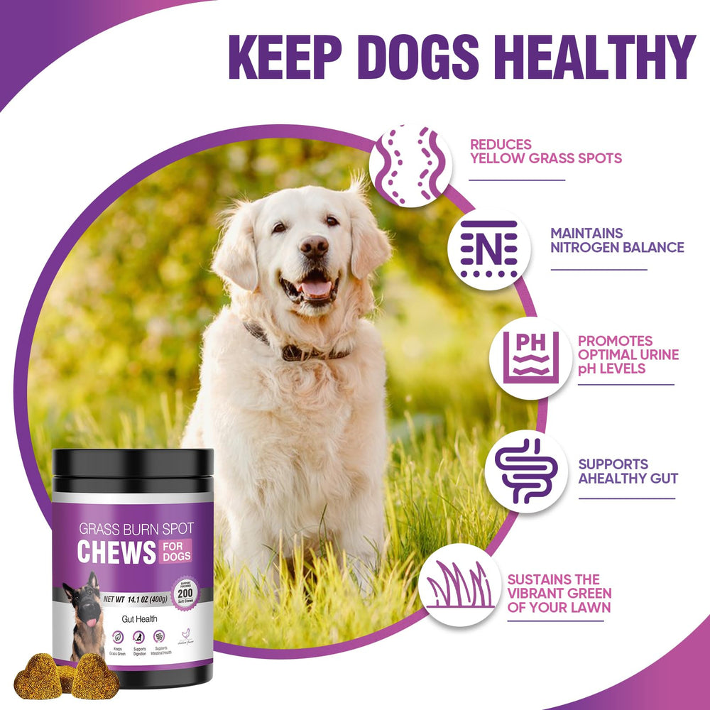 TTLXRL Green Lawn Benefits chews show vibrant lawn care and balanced digestion in dogs.