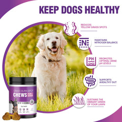TTLXRL Green Lawn Benefits chews show vibrant lawn care and balanced digestion in dogs.