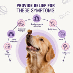 TTLXRL immune probiotic chews with five strains support digestion.