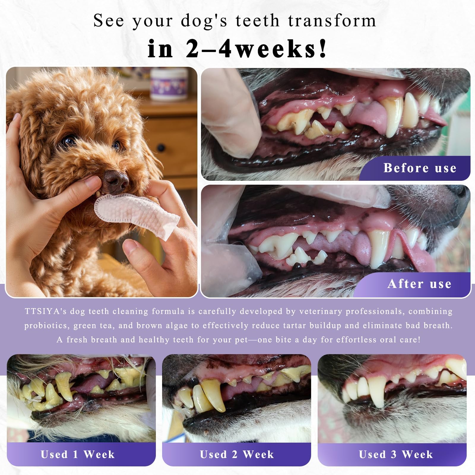 TTsiya dog dental powder dosing scoop shows easy addition to meals.