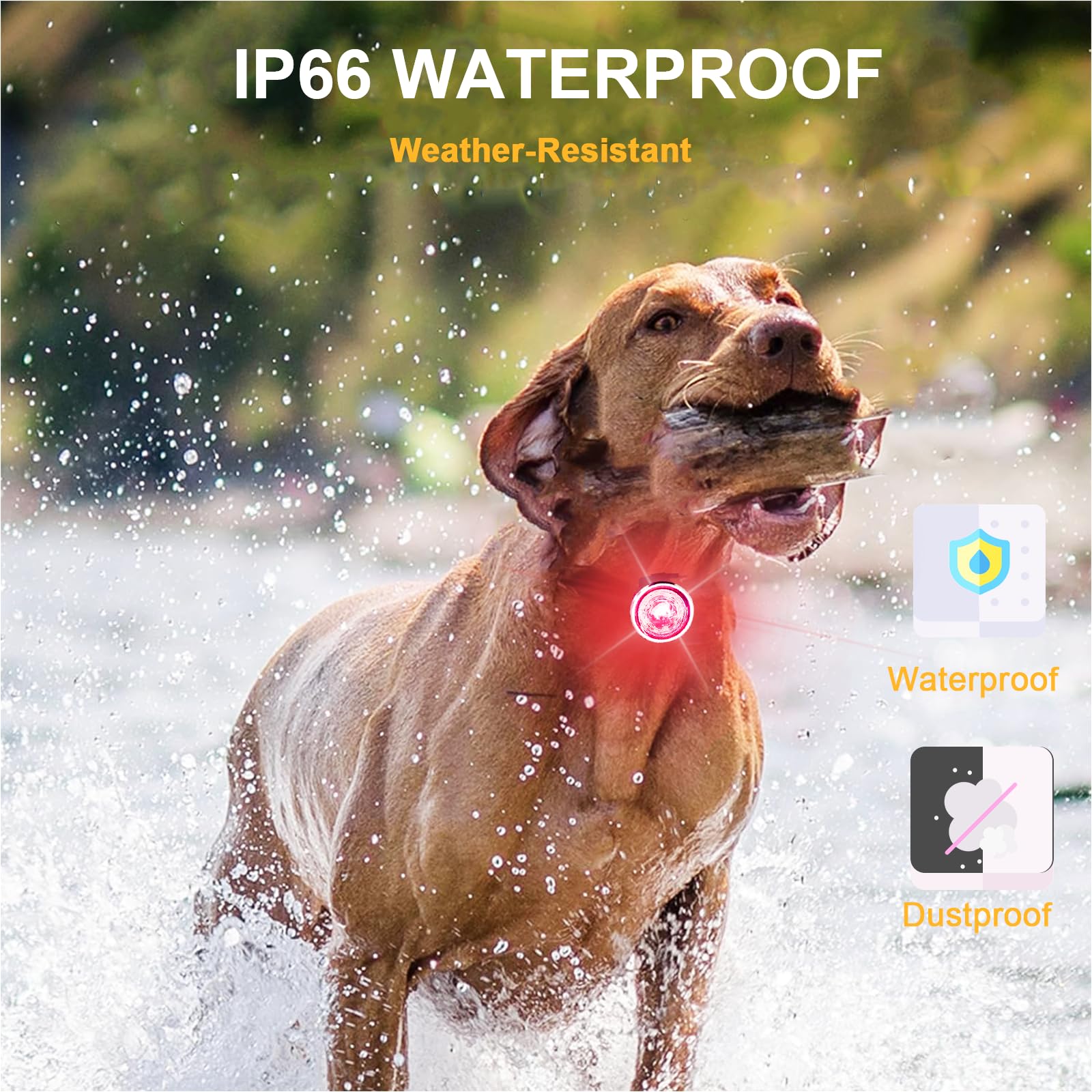 Tubasion dog light USB-C rechargeable to extend after dusk walks