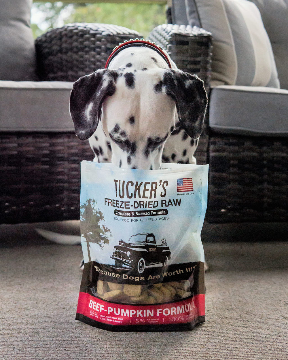 Tucker's Raw Frozen all-life-stages balance on packaging shows versatility