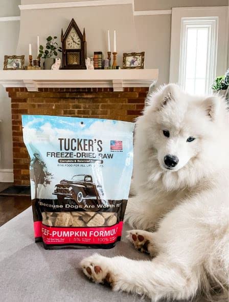 Tucker's Raw Frozen simple water-add serving in seconds