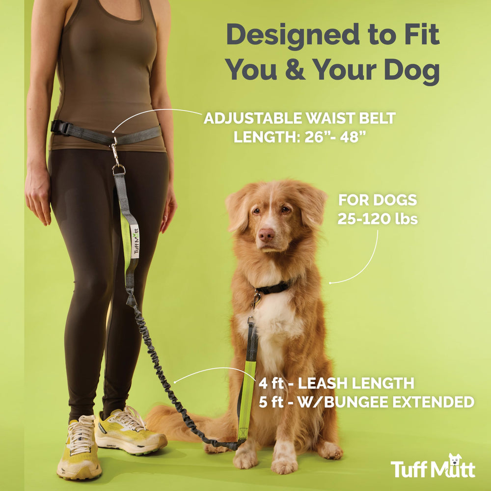 Tuff Mutt bungee extension absorbs sudden pulls for steadier runs.
