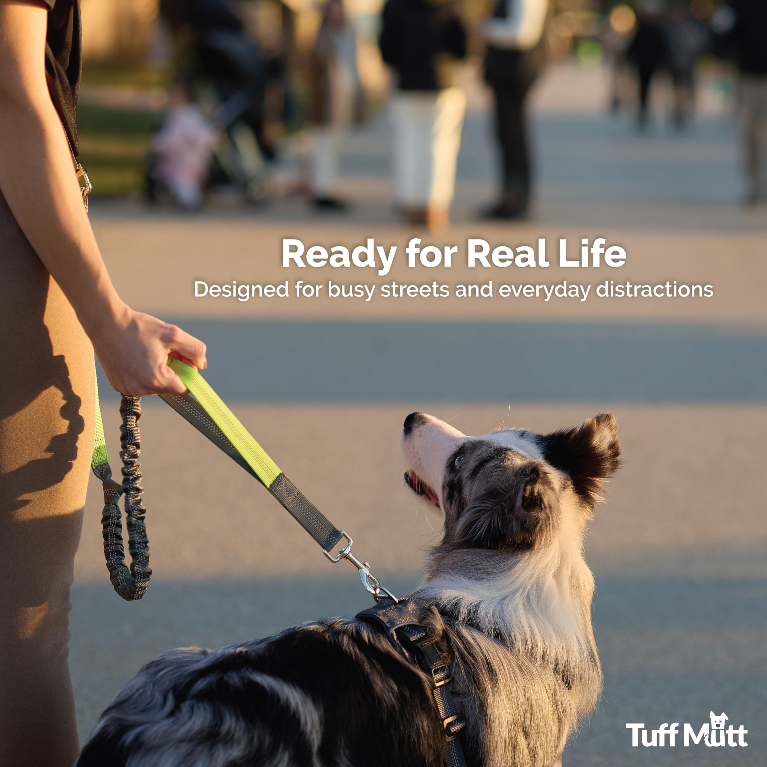 Tuff Mutt second handle near the collar for firmer control when needed.