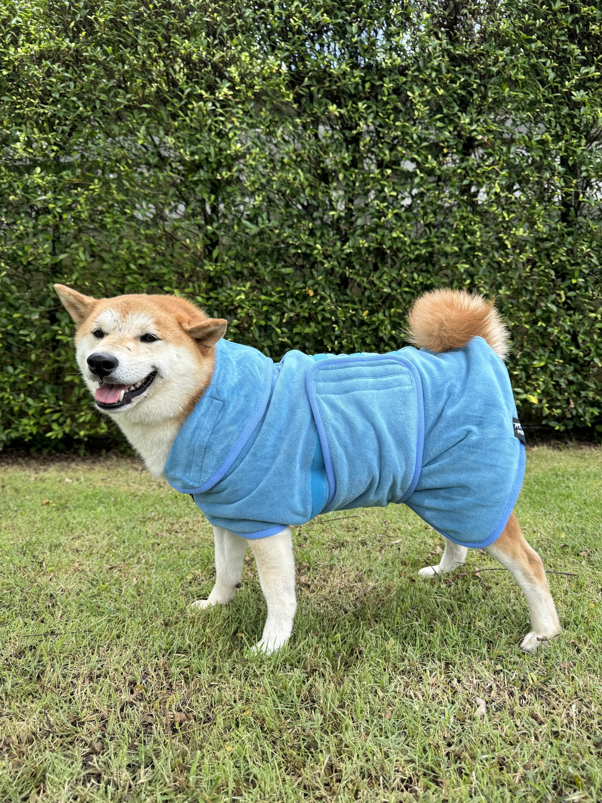 Tuff Pupper Bathrobe blue with cotton trim for durable finish