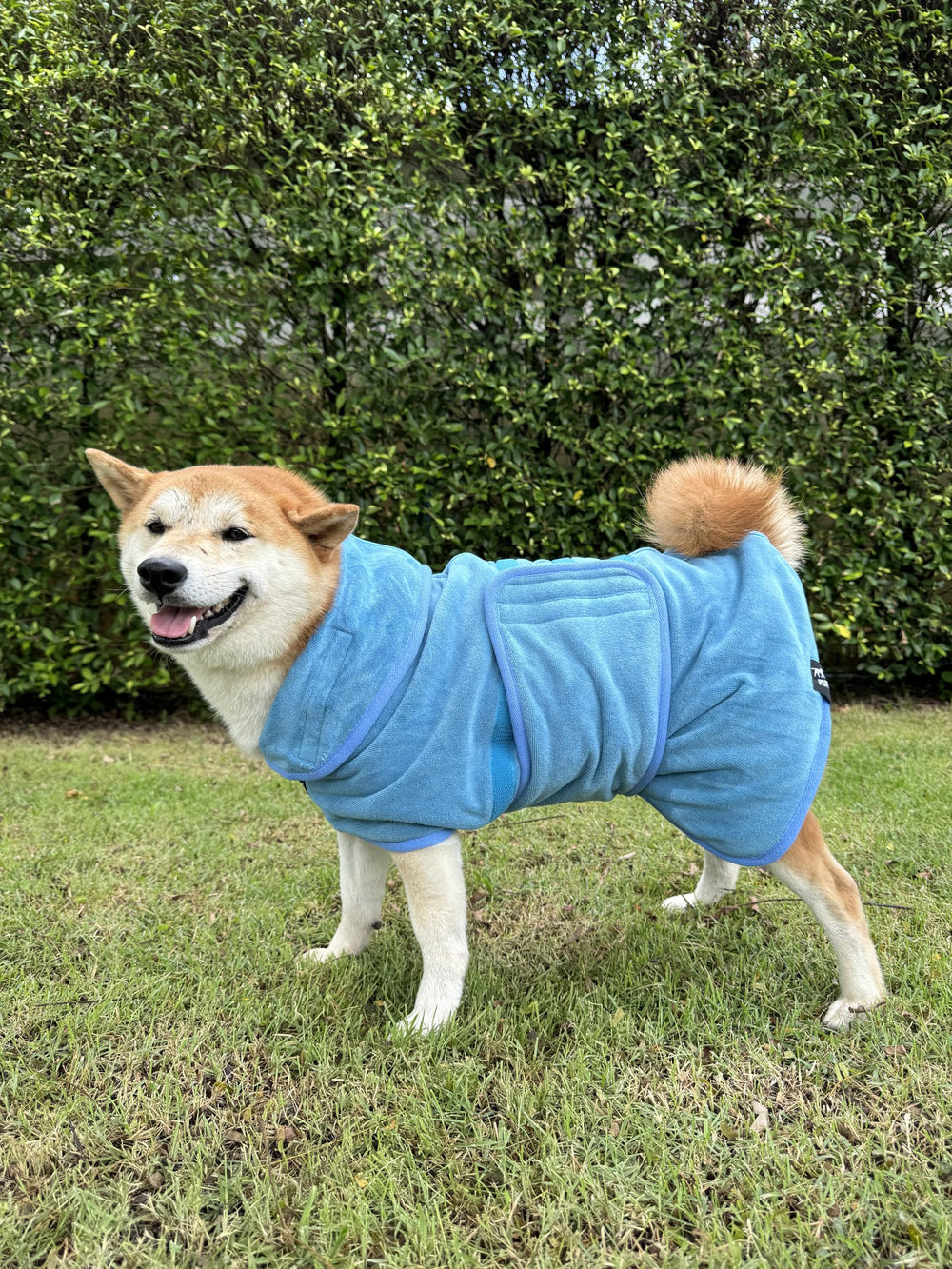Tuff Pupper Bathrobe blue with cotton trim for durable finish