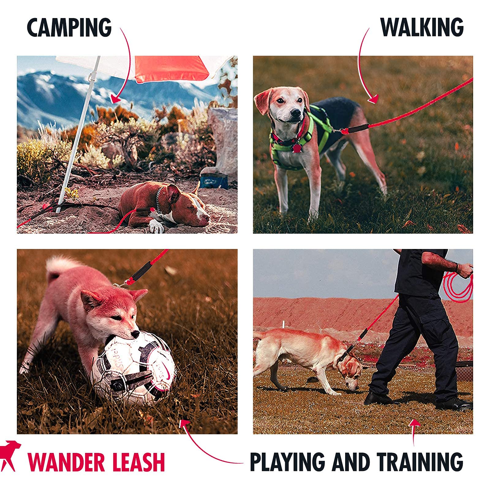 Tuff Pupper camping and beach training setup with 30ft rope leash