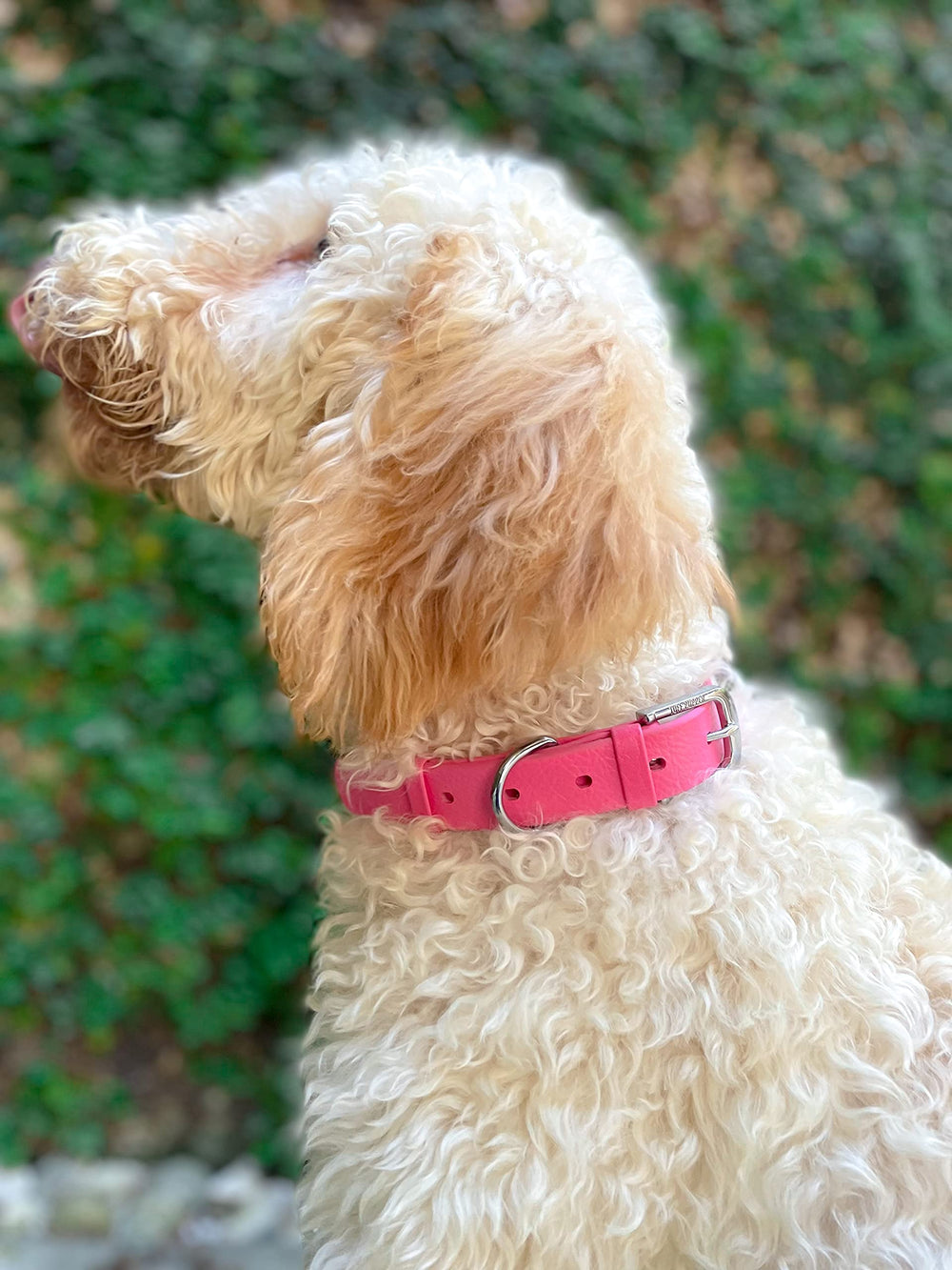 Tuff Pupper Classic Collar ballistic weave texture highlights durability