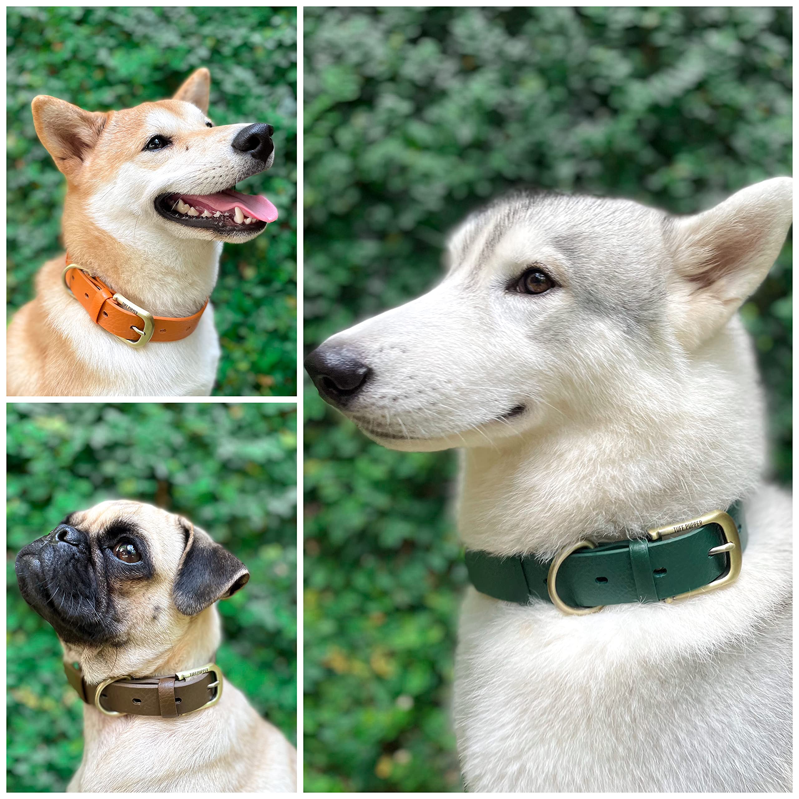 Tuff Pupper Classic Collar odor-free design helps prevent smells after outdoor play.
