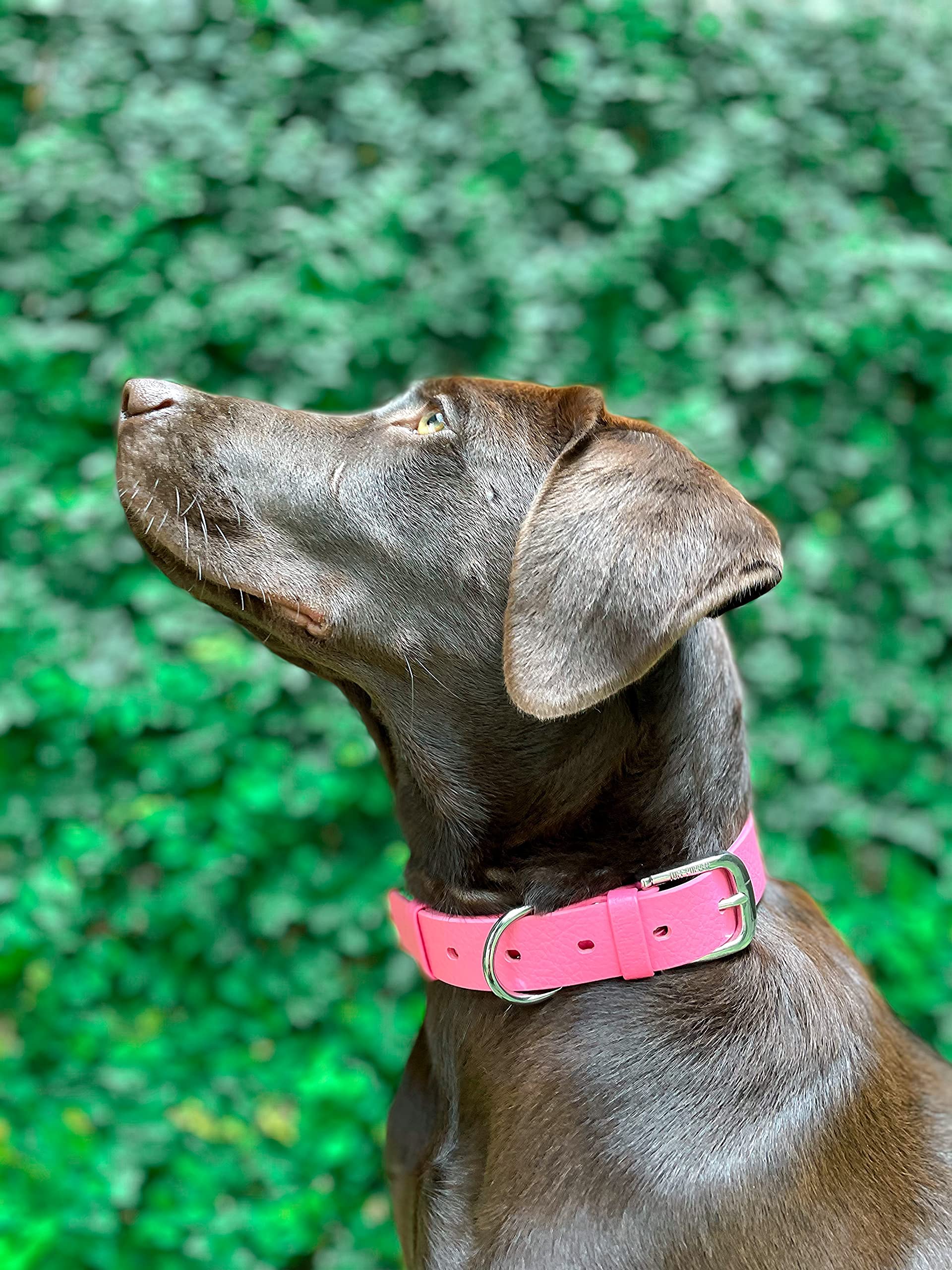 Tuff Pupper Classic Collar sizing chart demonstrates fit for every breed
