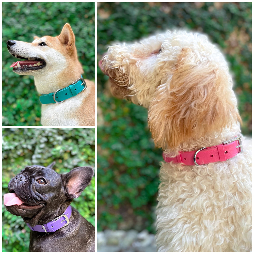 Tuff Pupper Classic Collar waterproof odor-proof design ideal for wet adventures