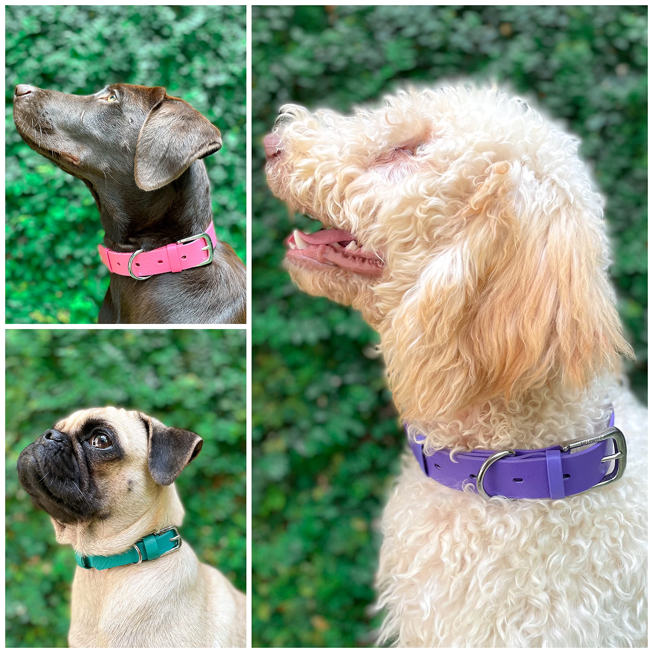 Tuff Pupper Classic Dog Collar leather-style grain highlights stylish, durable design.