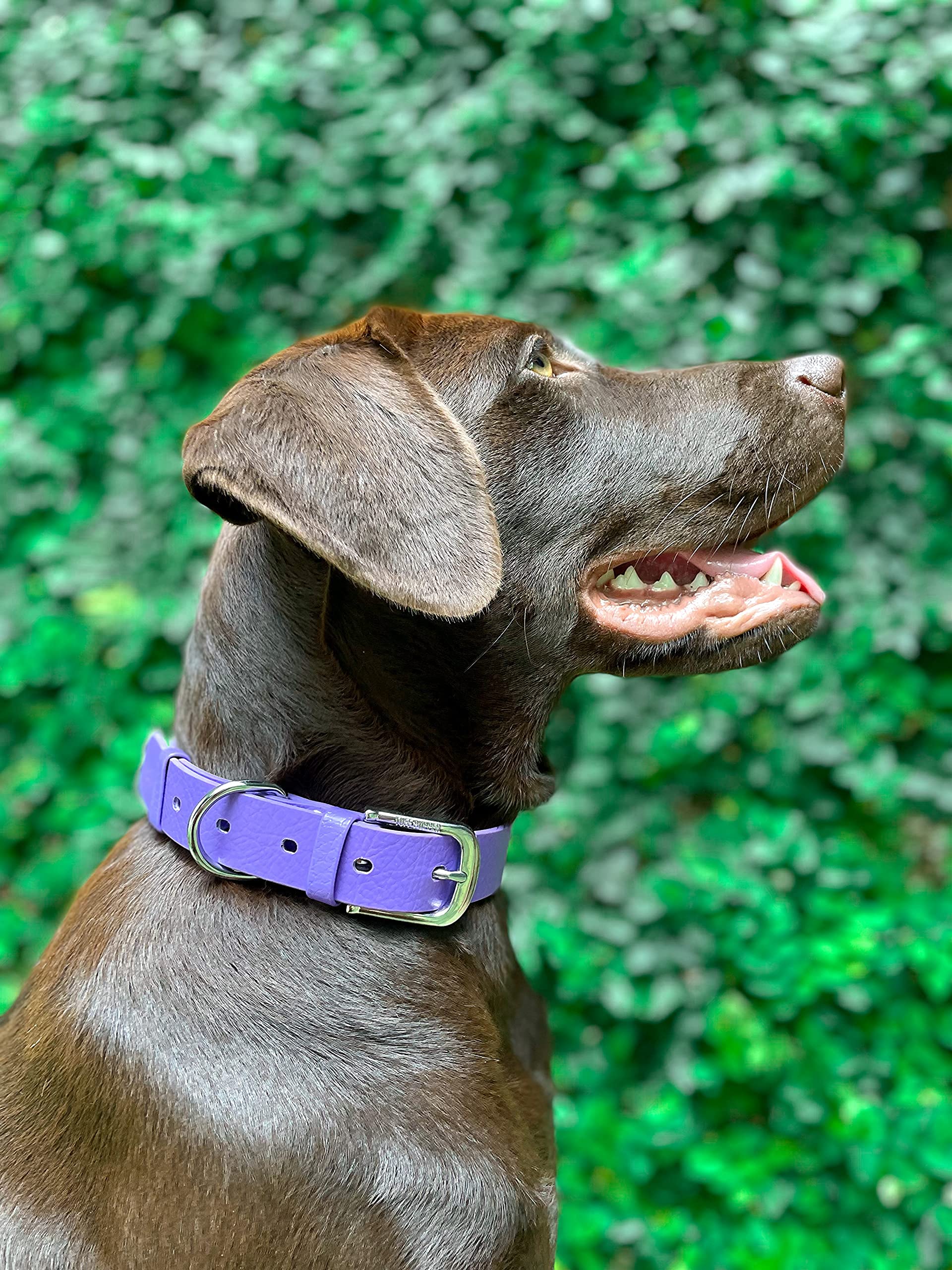 Tuff Pupper Classic Dog Collar soft feel ensures comfortable daily use.
