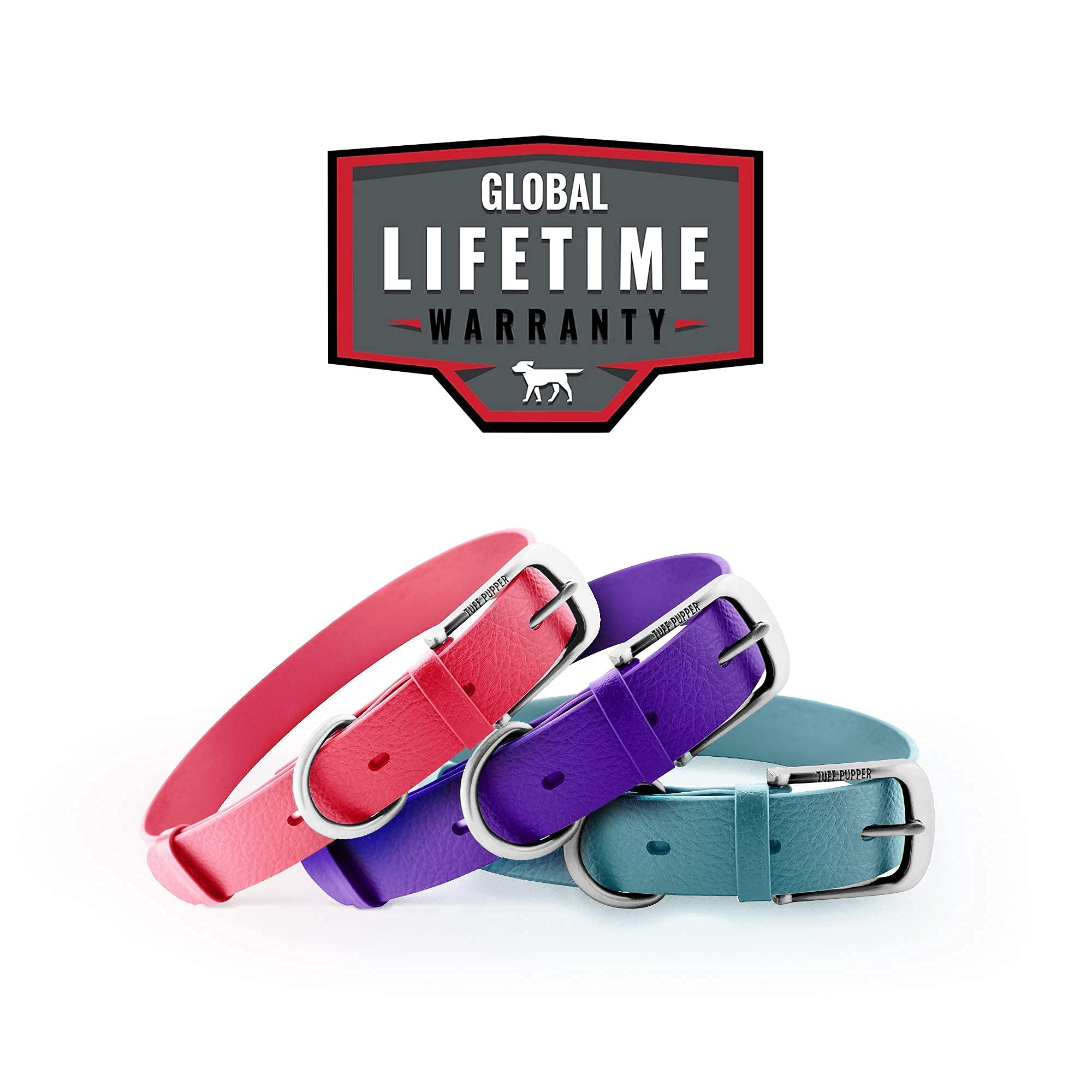 Tuff Pupper Classic Dog Collar worn during walks conveys secure everyday wear.