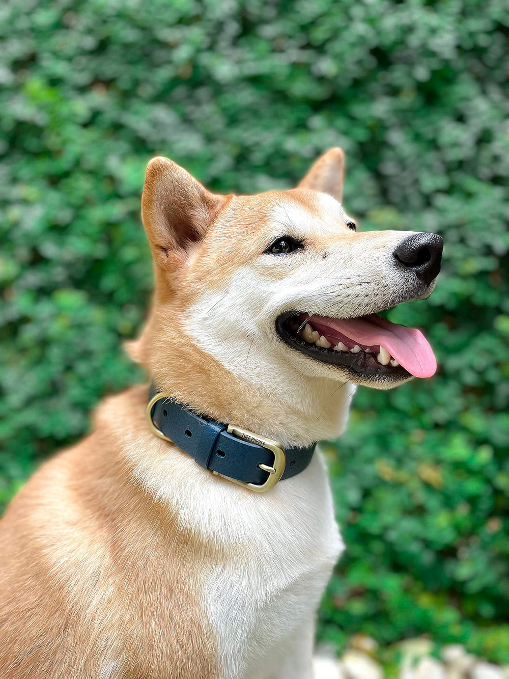 Tuff Pupper Classic odor-free design after muddy play