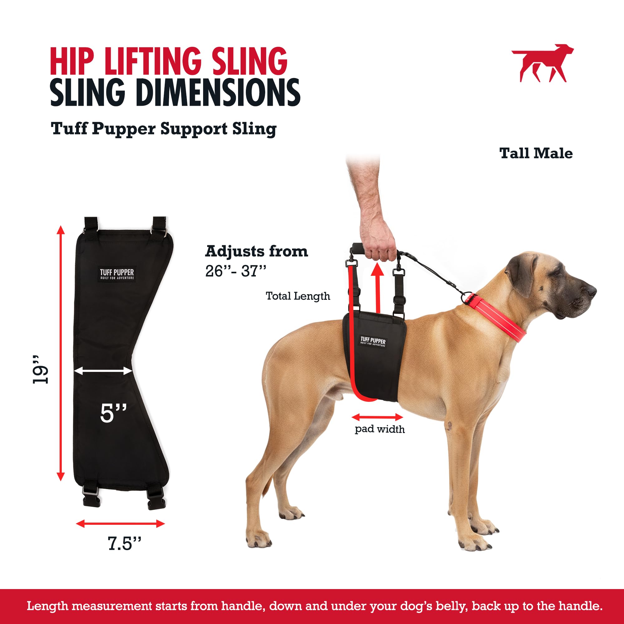 Tuff Pupper integrated leash keeps guided walks safe and simple.