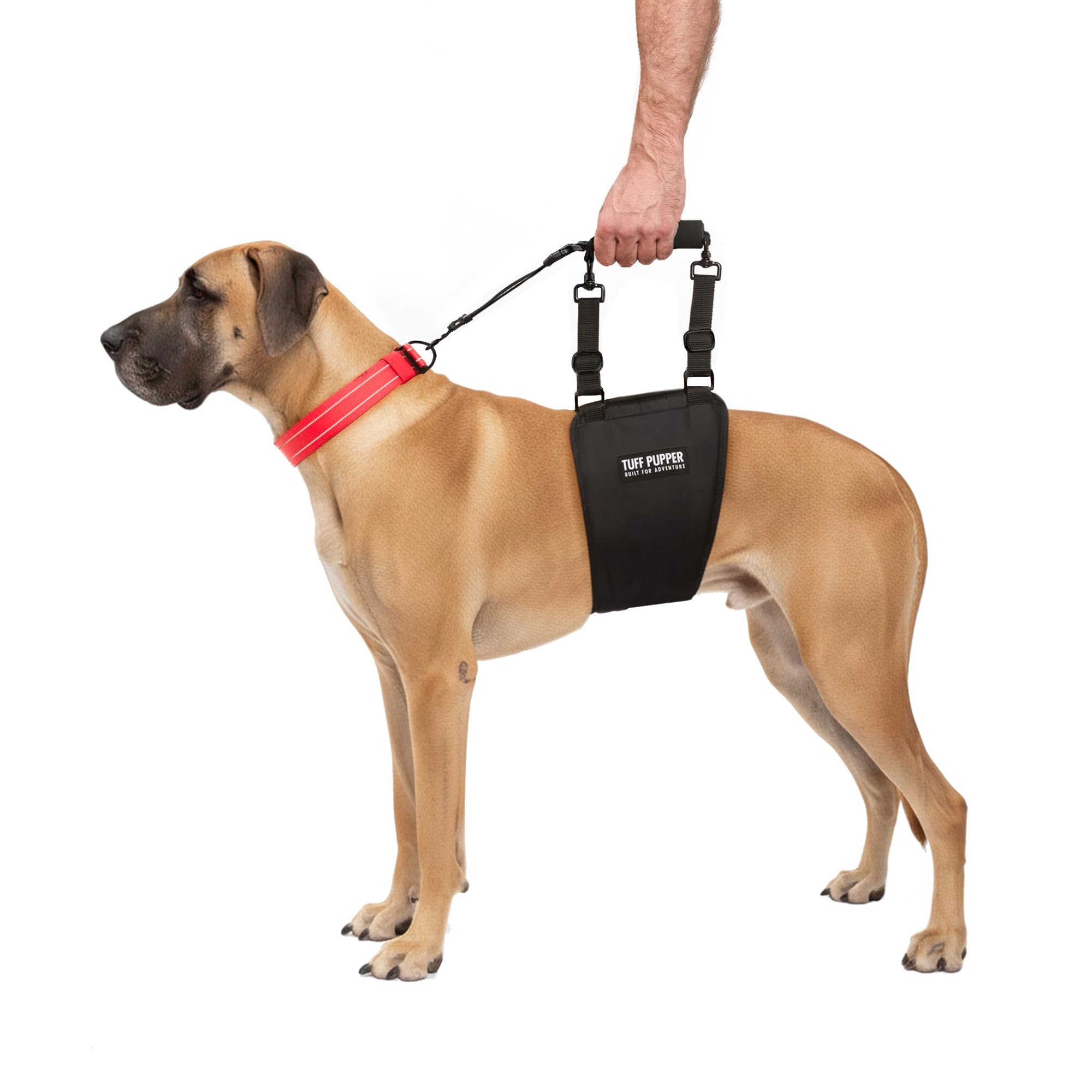 Tuff Pupper sling harness rear view shows secure rear lift for stairs and transfers.