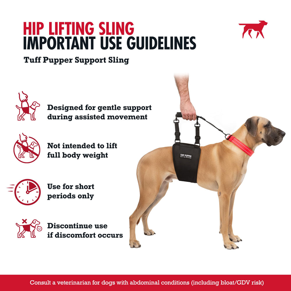 Tuff Pupper sling in use while standing supports balance for stairs and doorways.