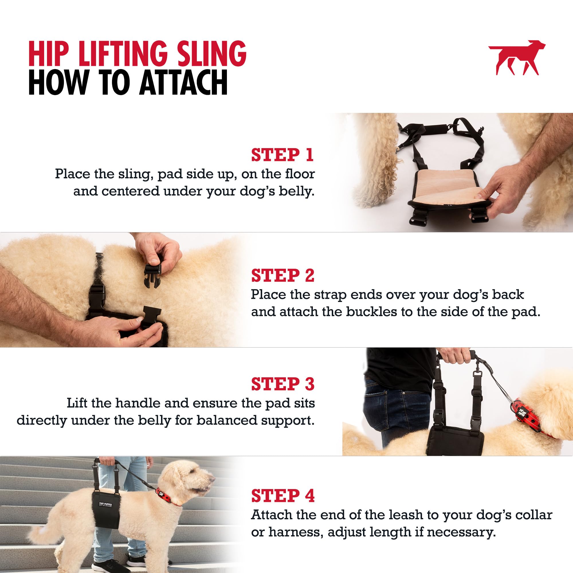 Large-female fit suits wider dogs for reliable support.
