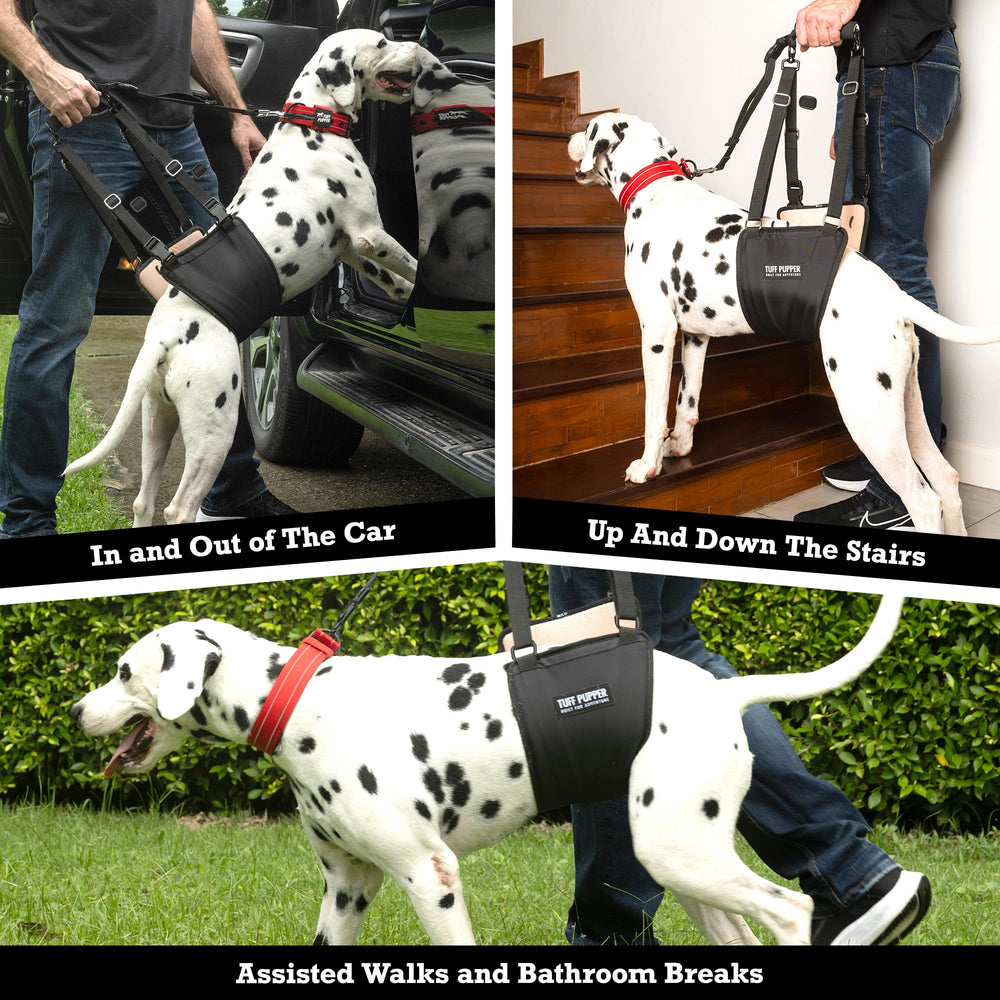 Stair and vehicle access is easier with rear-lift assistance.